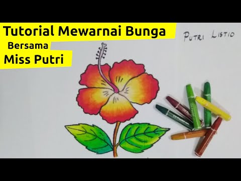 Tutorial Mewarnai Bunga Bersama Miss Putri - how to draw and paint the flower with oil pastel