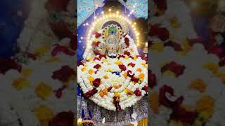 #khatu #khatushyam ,@viralhog @A2Motivation @vikas-sir-sparks @MrVivekBindra #viral