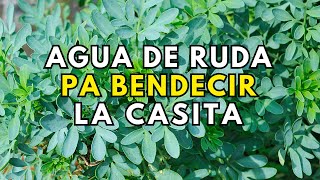 Agua de Ruda, Pa Bendecir la Casita, con una Oración Milagrosa hijita