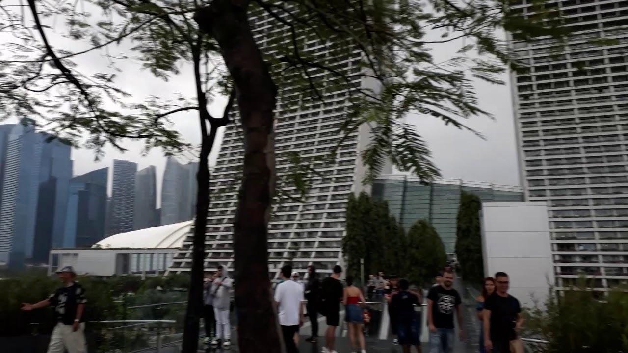 Gardens by the bay Singapore 2018