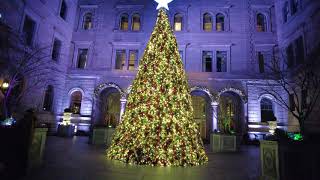 NYC Christmas Walk ✨Grand Central, Rockefeller Center, Times Square (Before Tree Lighting) in 2020