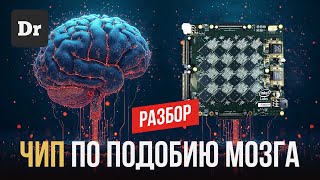 картинка: НЕЙРОМОРФНЫЕ ЧИПЫ | РАЗБОР