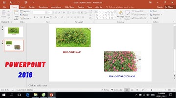Hướng dẫn sử dụng PowerPoint 2016 - Dành cho người mới