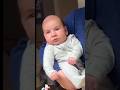 Ce Bébé Est Déjà Adulte Ce Bébé Est Déjà Adulte