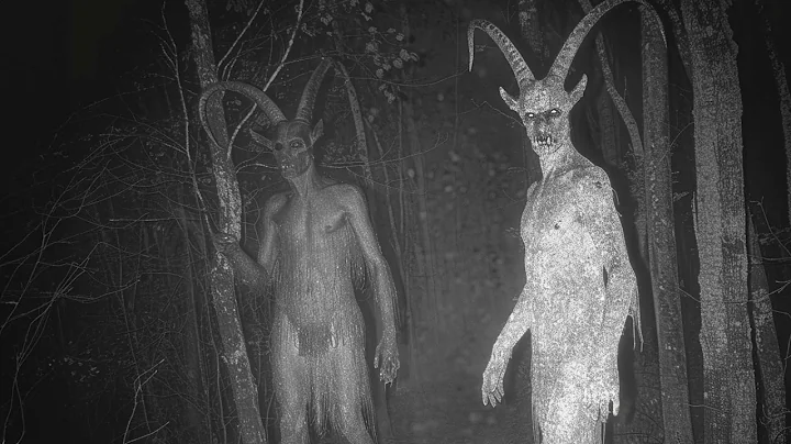 Top 10 Cryptids Caught Clearly on Camera in 2025