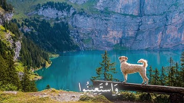 ✨ آيات الله في الكون – جمال الطبيعة مع القرآن الكريم ✨