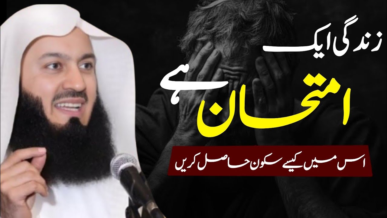 Zindagi Ek Imtihaan Hai! | Is Mai Sukoon Kaisa Hasil Karain | Mufti Menk (Urdu/Hindi)