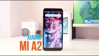 Xiaomi Mi A2 Review: Should You Buy This?