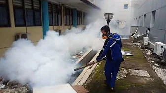 FOGGING NYAMUK FOGGING NYAMUK