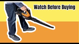 What You Should Know About This WORX WG545.1 20V Cordless Leaf Blower
