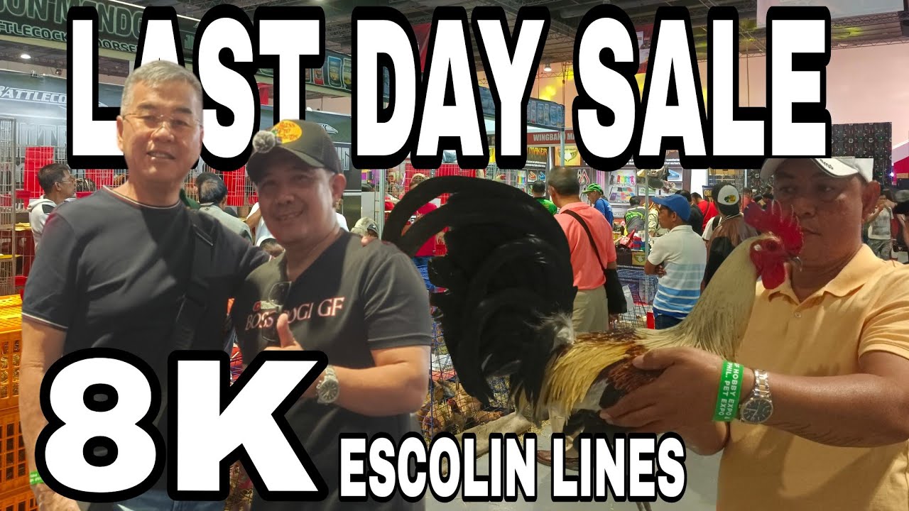 IGF LAST DAY SALE NG TAXMAN GAMEFARM GREEN COUNTRY GAMEFARM AT SUPER NATIVE GAMEFARM