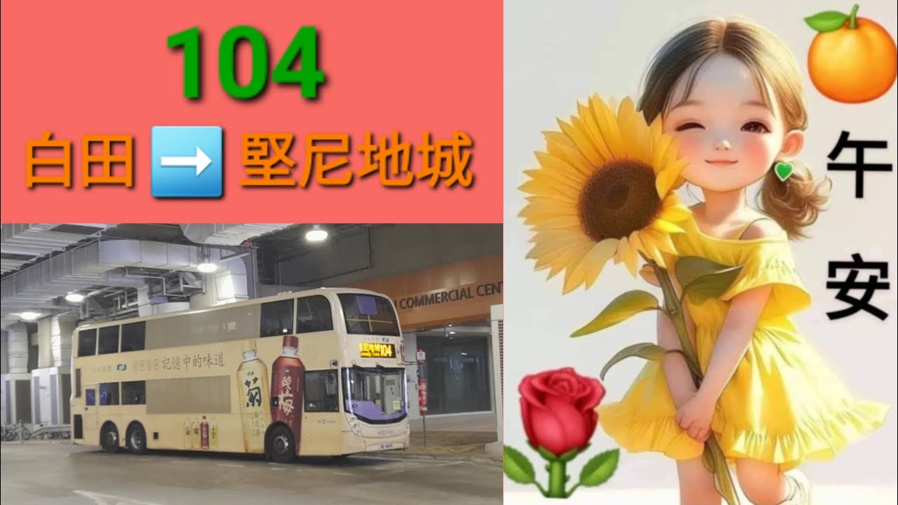 Hong Kong Bus CTB 6183 @ 104 城巴 Alexander Dennis Enviro500 MMC New Facelift 白田 堅尼地城