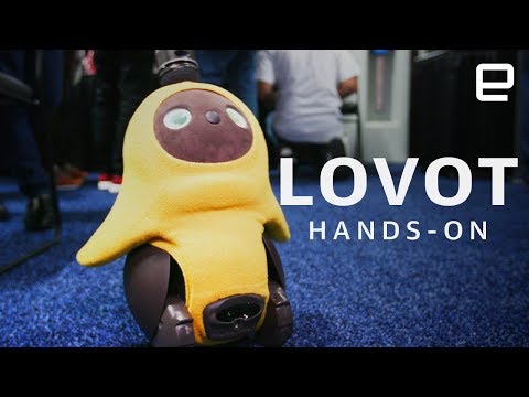 Groove X Lovot Hands-On: Too Damn Cute at CES 2019