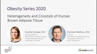 Heterogeneity and Crosstalk of Human Brown Adipose Tissue