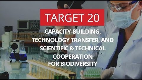 Transformative actions needed to implement the KMGBF Target 20!