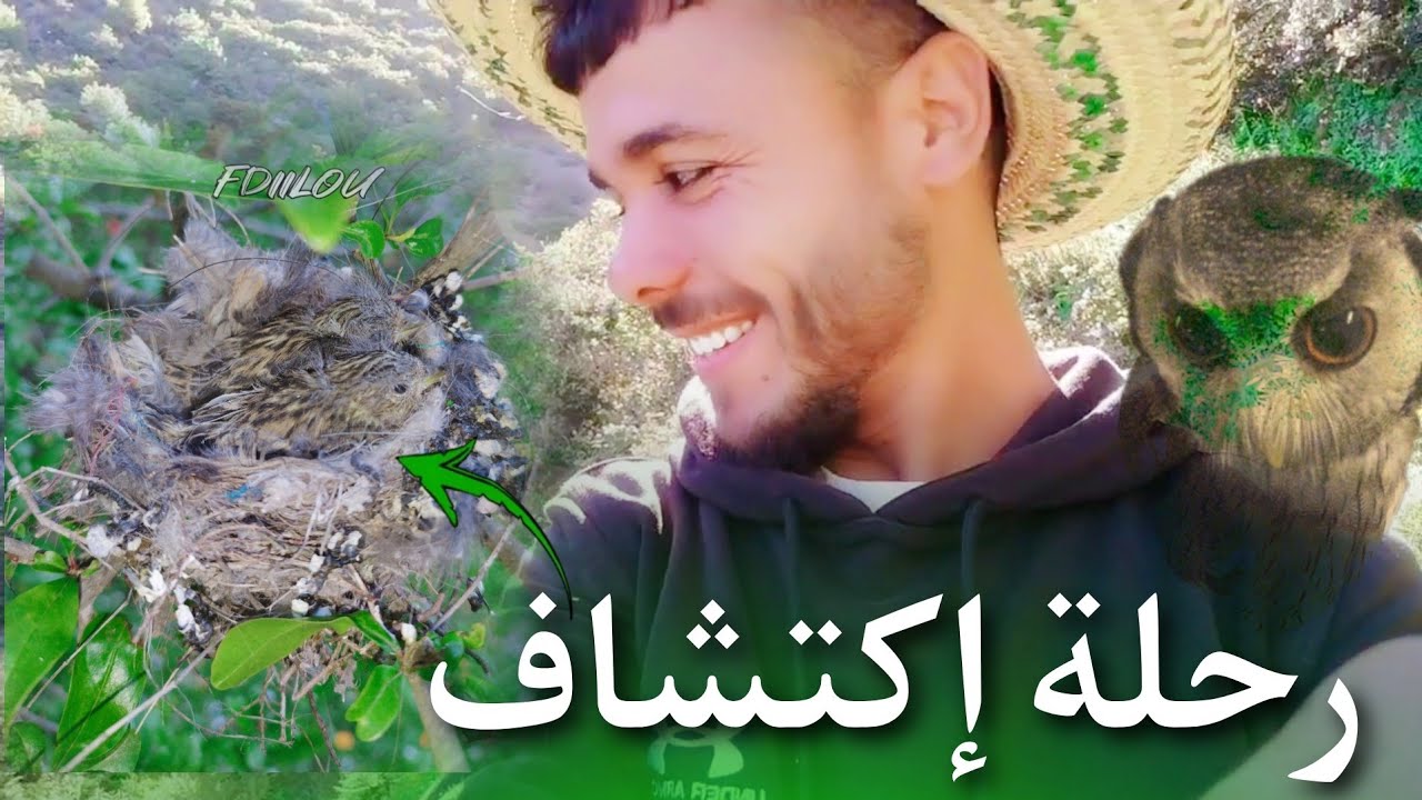 رحلة إكتشاف الطيور والفراخ في البرية 🦉🐦🪺🐦 الجزء الاول 1