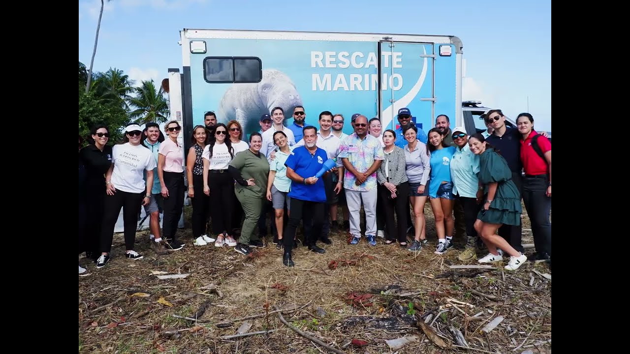 Paulson Puerto Rico in support to Alma de Bahia and Caribbean Manatee Conservation Center