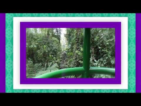 Reserva Monteverde, todo