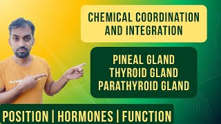 Chemical coordination and integration | Pineal gland | Thyroid gland | Parathyroid gland | Hormones