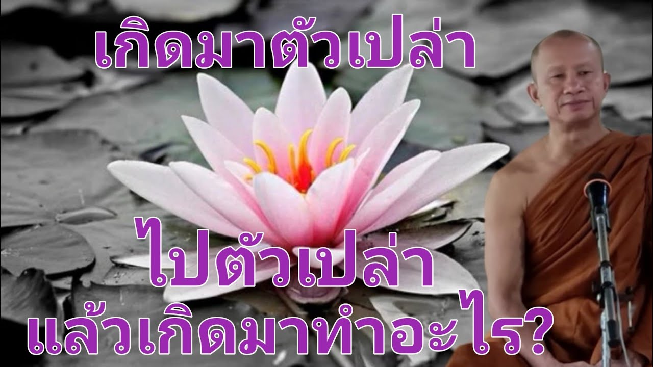 วัดโนนกุดหล่ม​ พระอาจารย์ราวี​ จารุธัมโม จ. ศรีสะเกษ​ ฟังธรรม​ เข้าใจธรรมะ(ชาติ)​ เกิดมาเพื่ออะไร?