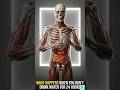 What Happens When You Don't Drink Water for 24 Hours 😱 (Inside Your Body) #ytshorts #bodyawareness