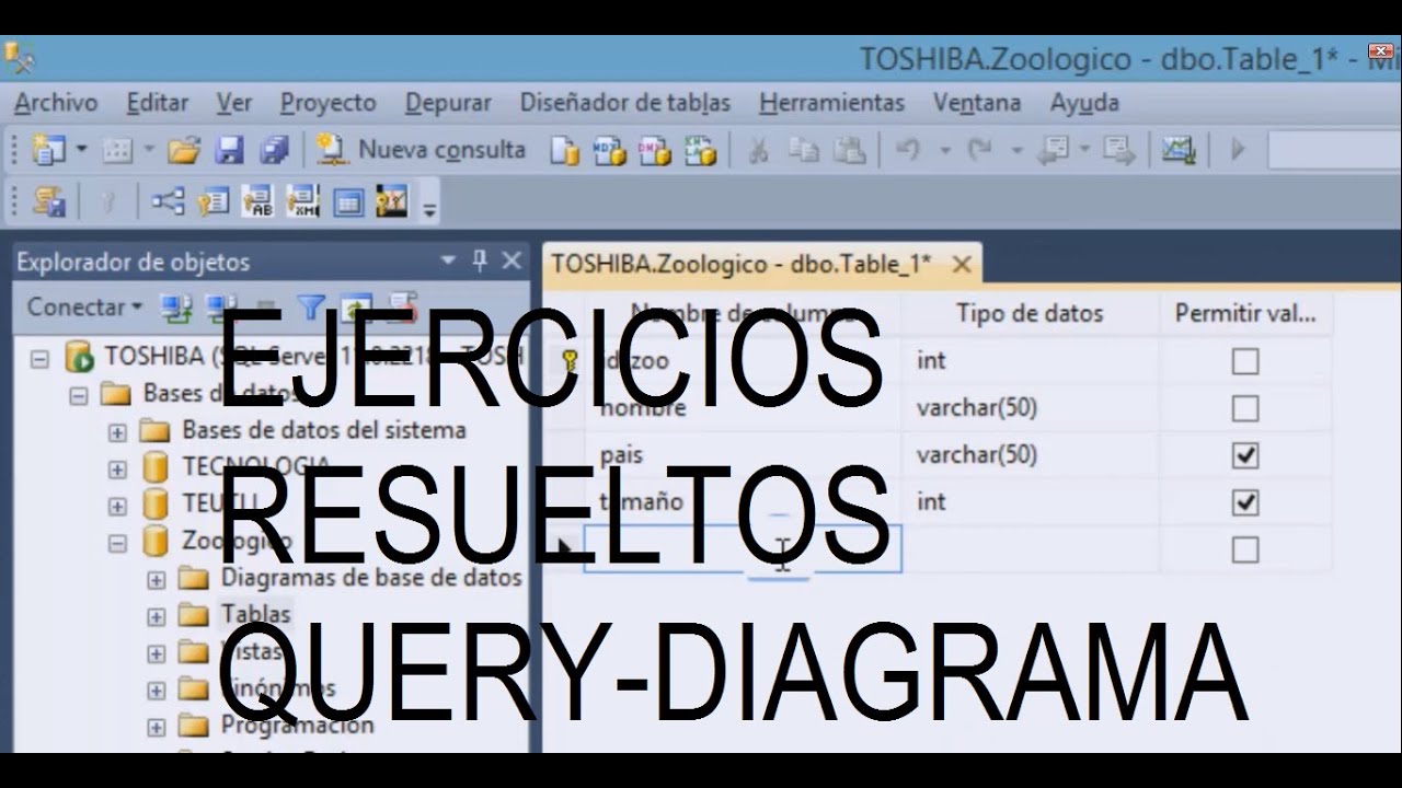 06. Base de Datos ZOOLÓGICO - creación, tablas, registros y diagrama