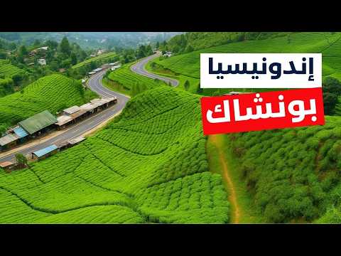 بونشاك إندونيسيا دليلك السياحي لأجمل 6 معالم التكاليف الفنادق والطقس