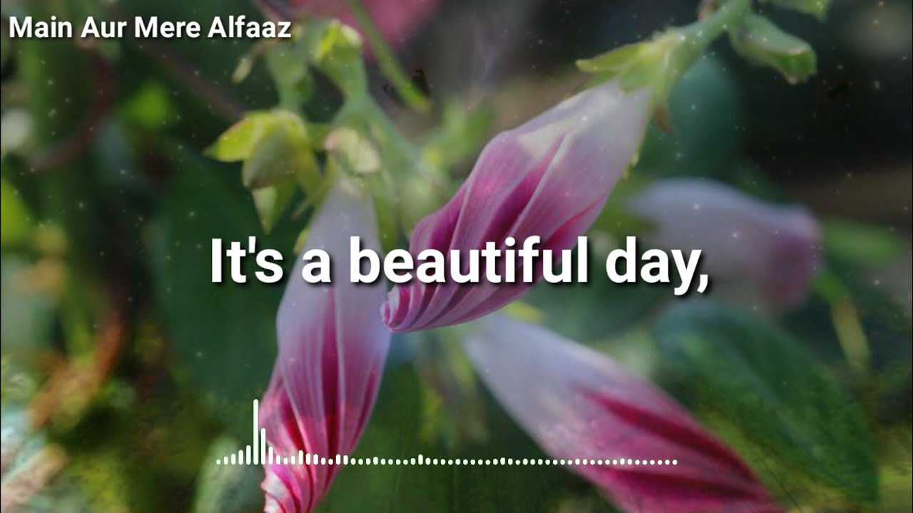 Motivational Status | True line quotes|  Good Morning Status| Morning Peaceful Quotes|