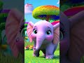 Elefante Gordito, Gordito - Chubby Elephant | Spanish Nursery Rhymes for Children's | Shorts