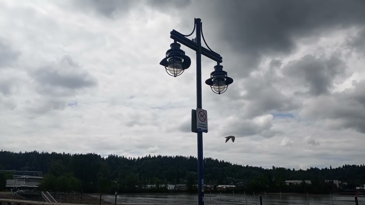 port moody coquitlam bc