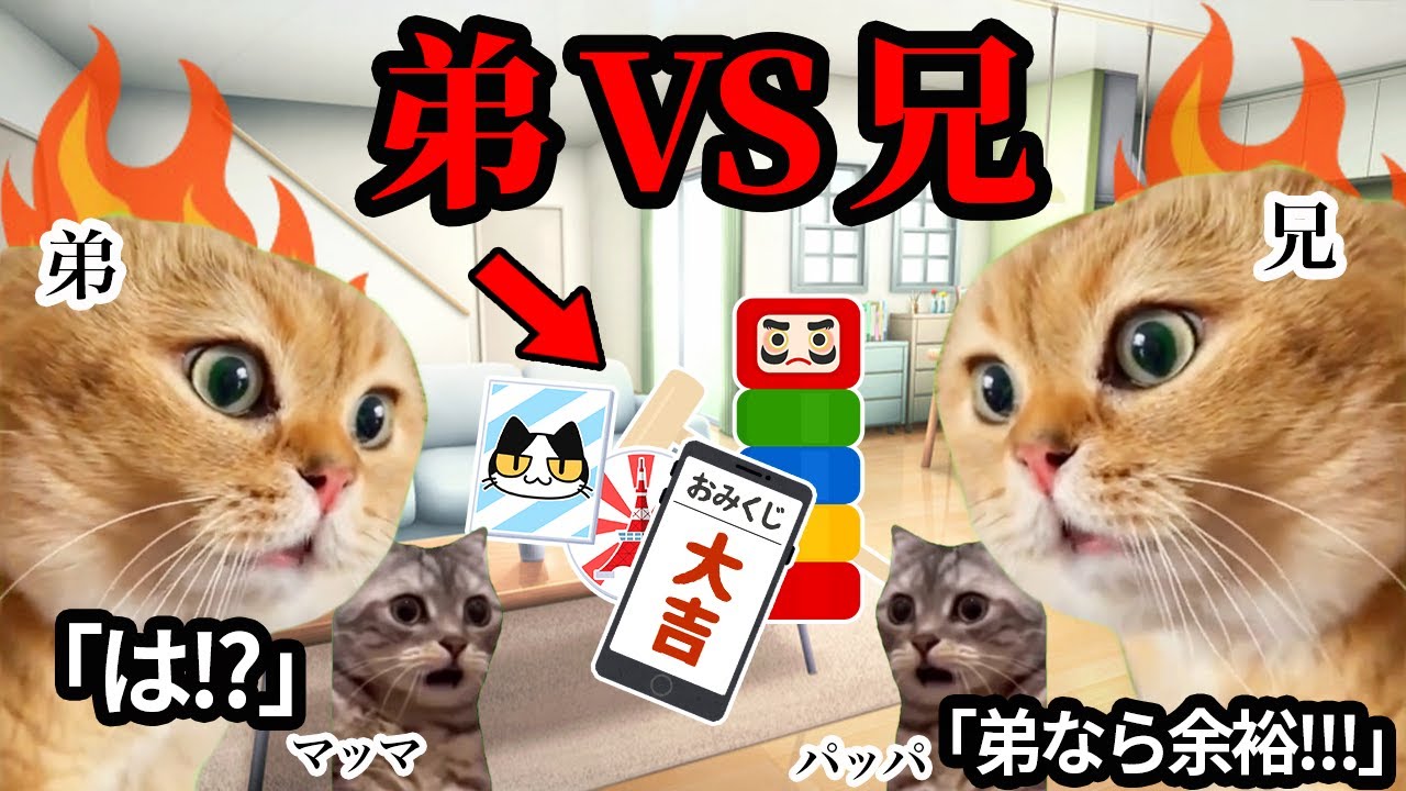 新年早々、兄と弟の熱い戦いが始まりました、、、.#猫ミーム #猫マニ