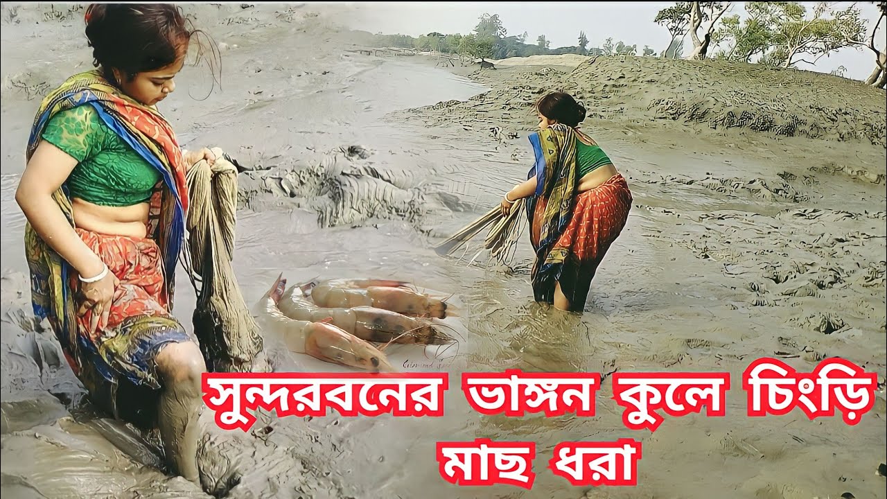 সুন্দরবনের বড় নদীর ভাঙ্গন কুলে এসে মাছ কাঁকড়া ধরলাম ।