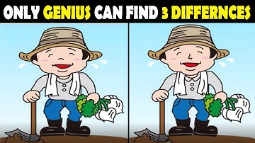 Spot The Difference : Can You Find Them All? | Quiz #37 | Puzzle Pulse