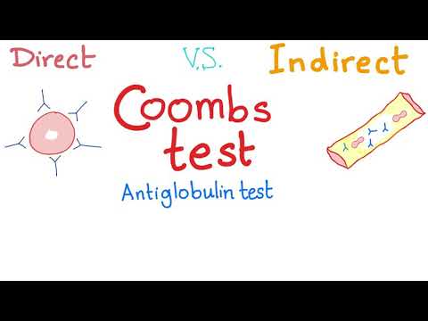 Video: Unterschied Zwischen Direktem Und Indirektem Coombs-Test