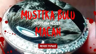 misteri dan Manfaat Batu Bulu Macan