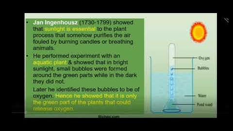 MLZS JHANSI CLASS 11 Biology Chapter 7 Lecture 1