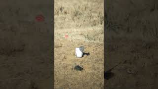 Long Range 22 shooting suppressed.  CCI Standard Velocity Inconsistent???
