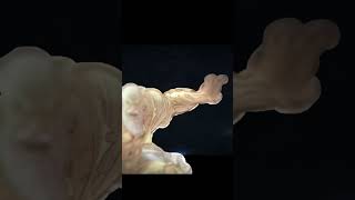 Thaedus edit #edit #invincible #batidao #viral