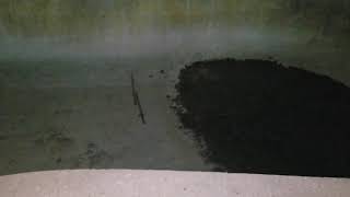 Pee in the pool Part 2