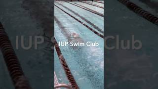 Competitive or just looking for fun in the pool, the IUP Swim Club is here for you!
Competitive or just looking for fun in the pool, the IUP Swim Club is here for you! Competitive or just looking for fun in the pool, the IUP Swim Club is here for you!