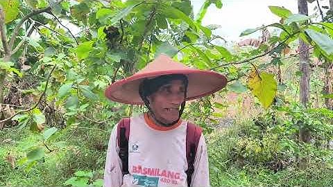 BELUM KAWIN JANGAN TONTON SEGERA TUTUP LAYAR..!! KEHIDUPAN SUKU JAWA DESA TERPENCIL JAWA TENGAH