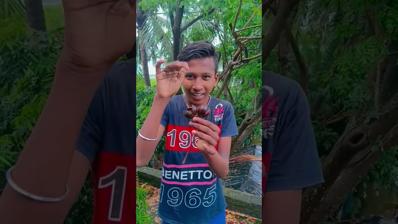  Cute Funny Shorts Video Lifeisbutadream
