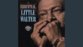Video thumbnail of "Little Walter - Just Your Fool"