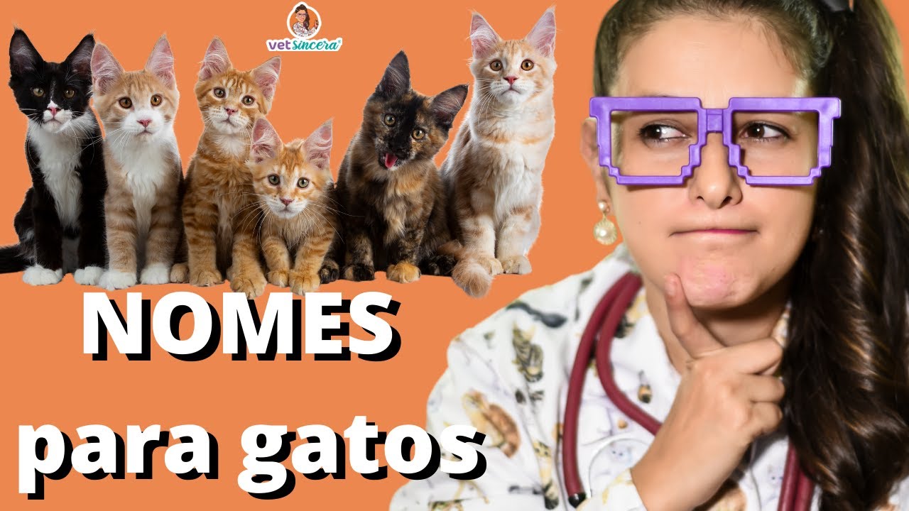 505 nomes para gatos e gatas - clássicos e originais - Dicionário de Nomes  Próprios