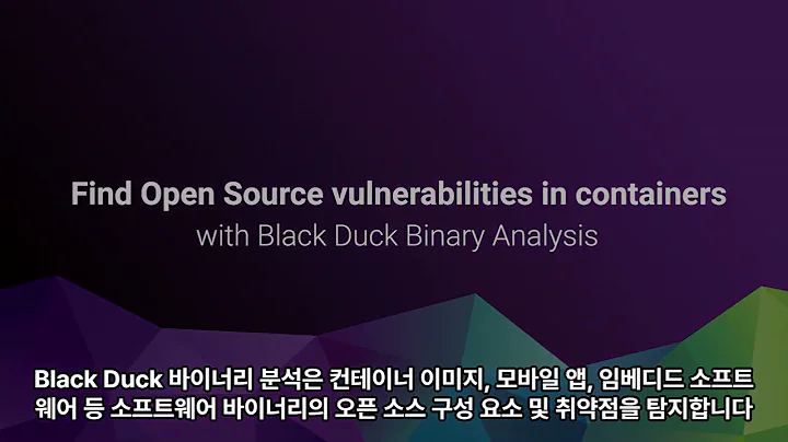 #1. Black Duck 핵심 기능 - Black Duck Binary Analysis(BDBA)로 컨테이너의 오픈소스 취약점 찾기 (한글자막)