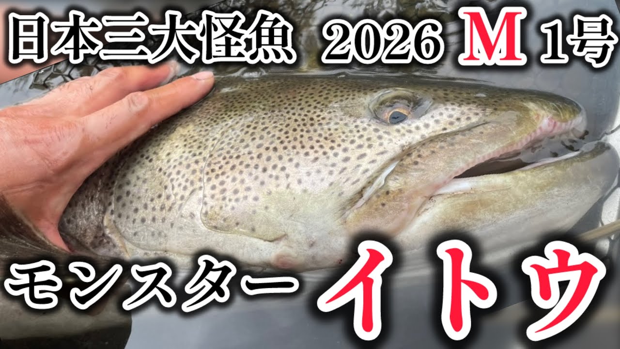 北海道 釣り 鬼5】日本三大怪魚 道東モンスターイトウとの死闘 2026 M1