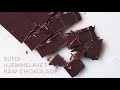 SUND HJEMMELAVET RAW CHOKOLADE // EMMA MARTINY