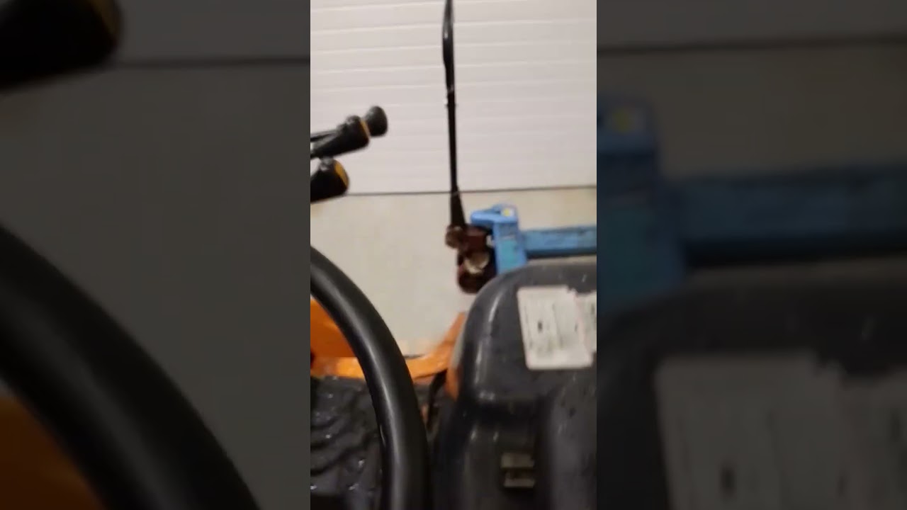 Green-eyed taxi!! 🙃 