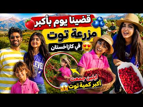 قضينا يوم بأكبر مزرعة توت في كازاخستان🫐🍓😍 ايلين جمعت أكبر كمية توت🧺😱عائلة ميرو اميرة و عبدالرحمن