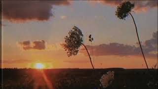 Sunset Without You